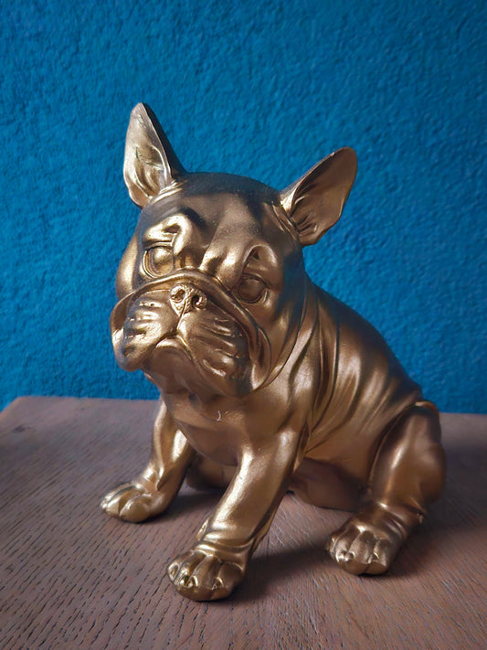 Gouden Franse Bulldog